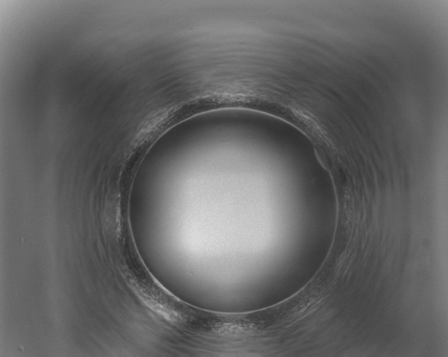 X0000052960494200507151739