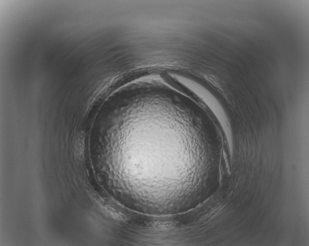 X0000052960495200507151739
