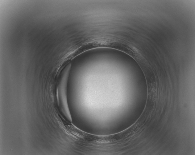 X0000052960500200507151739