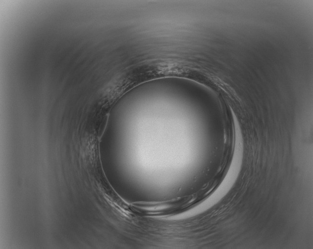 X0000052960513200507151739