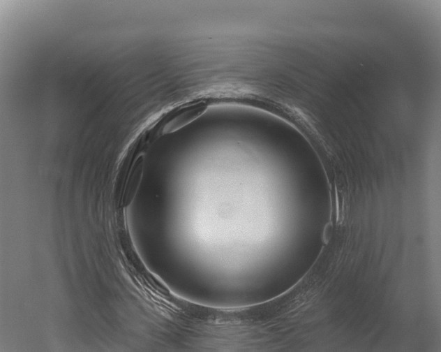 X0000052960531200507151738