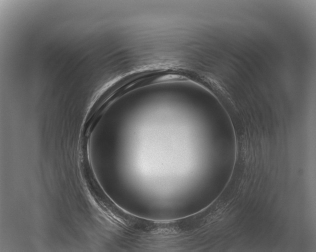 X0000052960536200507151738