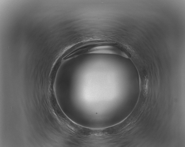 X0000052960540200507151738
