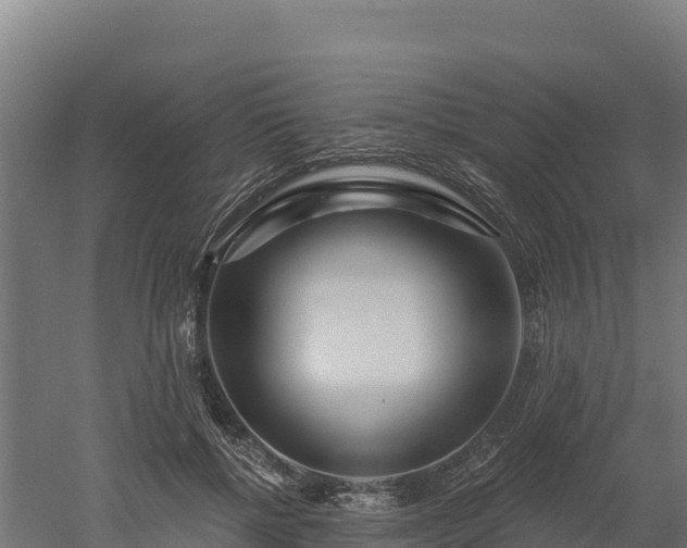 X0000052960552200507151738