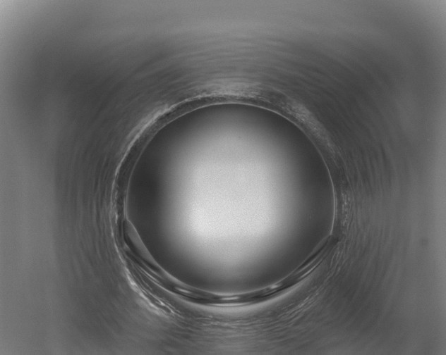 X0000052960580200507151738