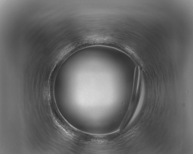 X0000052960582200507151738
