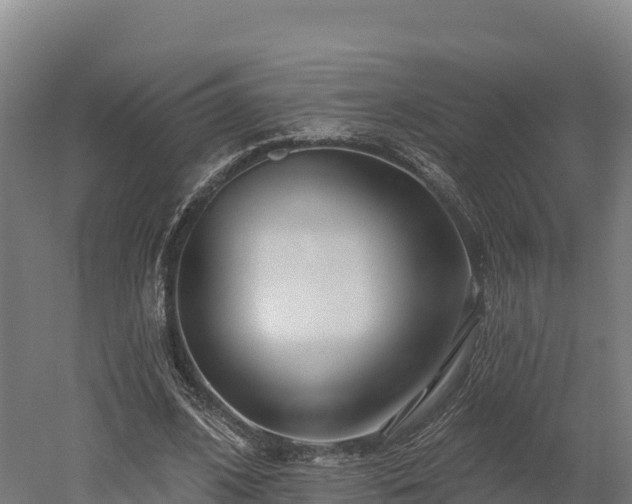 X0000052960584200507151738
