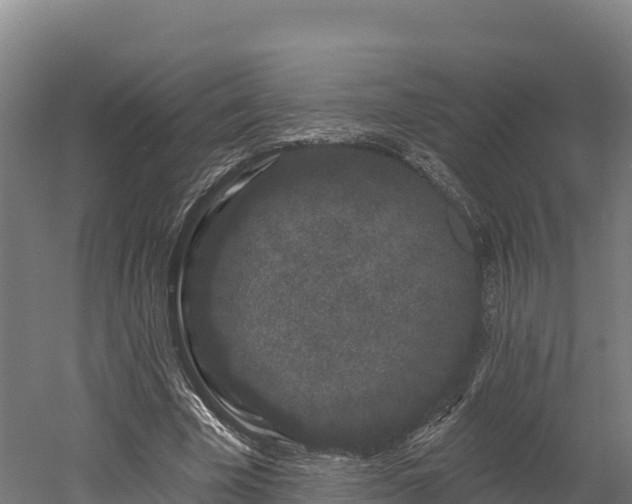 X0000052960585200507151738