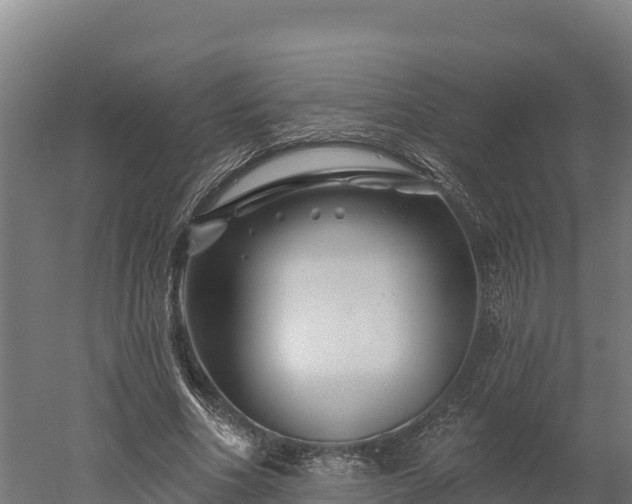 X0000052960586200507151738
