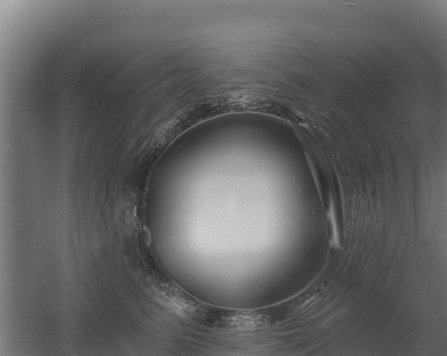 X0000052960615200507151737