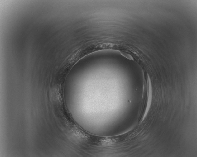 X0000052960616200507151737
