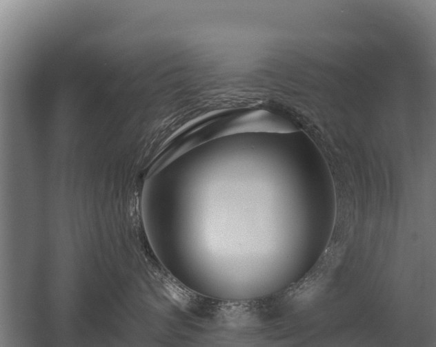 X0000052960624200507151737