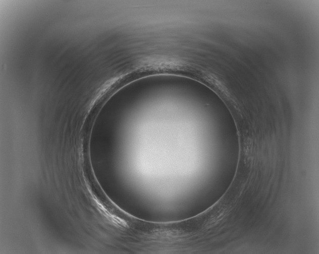 X0000052960629200507151736