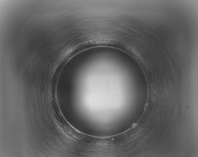 X0000052960631200507151736