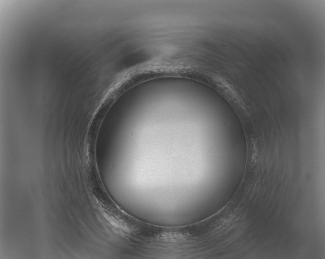 X0000052960636200507151736