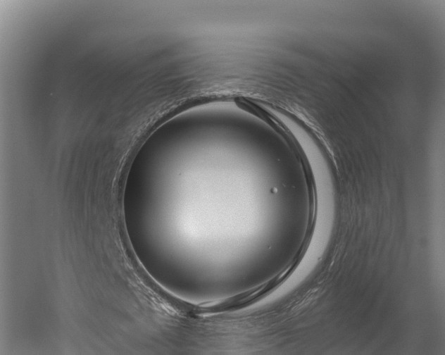 X0000052960673200507151736