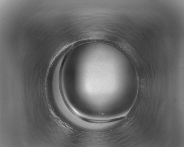 X0000052960676200507151736
