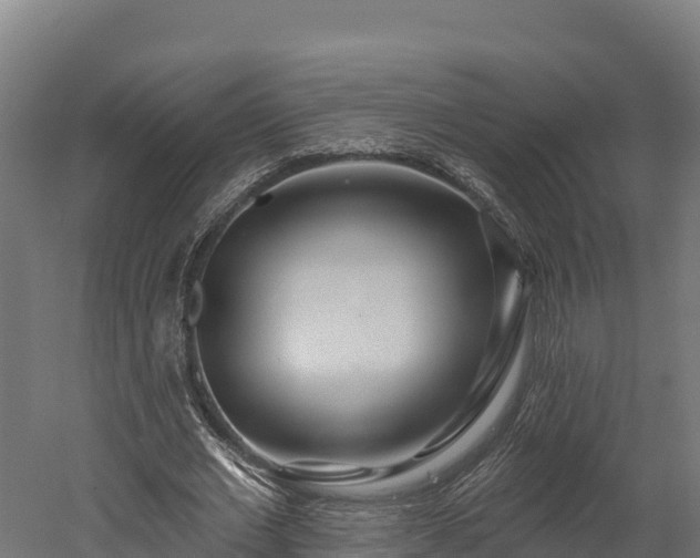X0000052960677200507151736