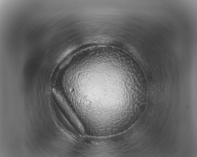 X0000052960679200507151736