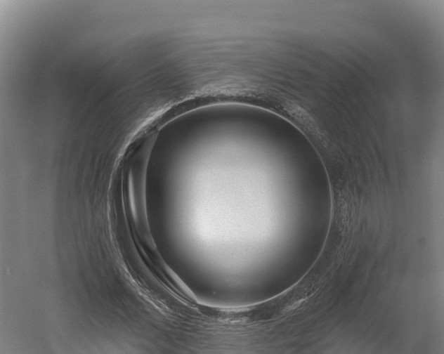 X0000052960680200507151736
