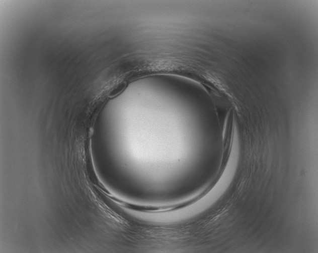 X0000052960681200507151736