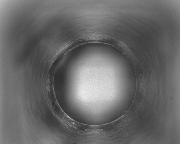 X0000052960683200507151736
