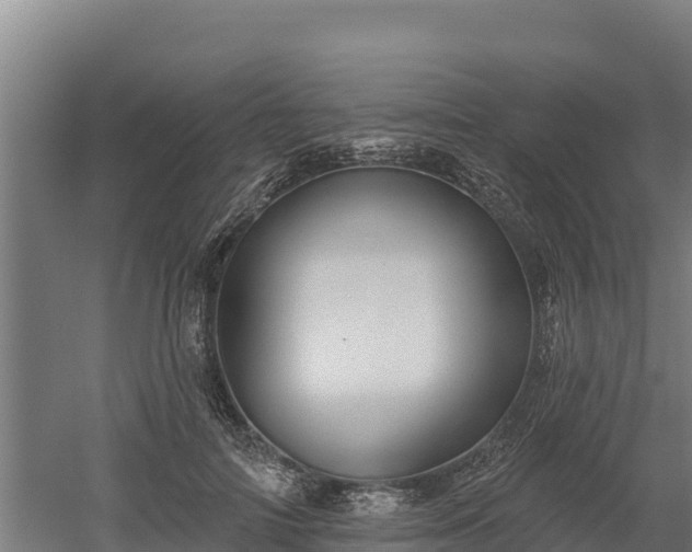 X0000052960698200507151736