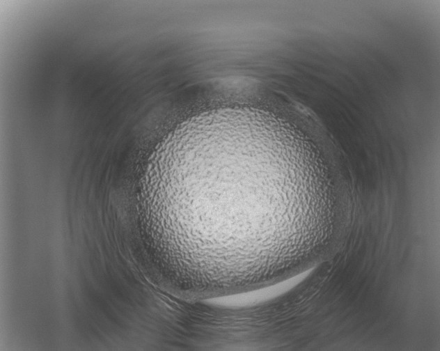 X0000052960701200507151736