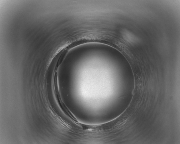 X0000052960727200507151735