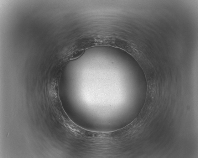 X0000052960770200507151735