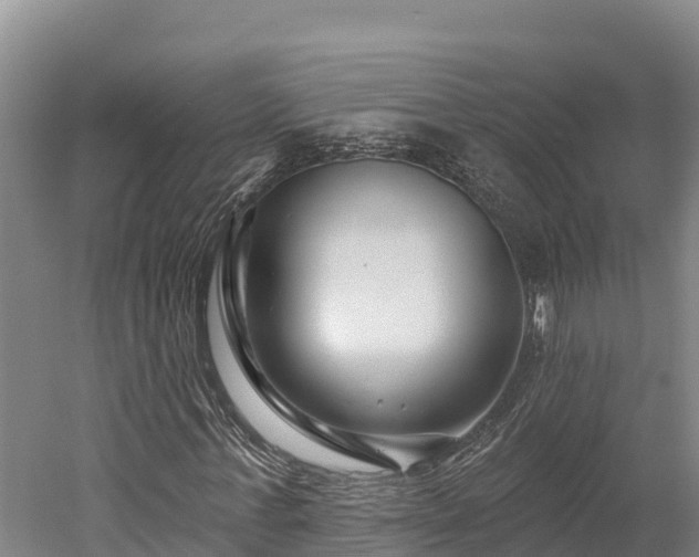 X0000052960771200507151735
