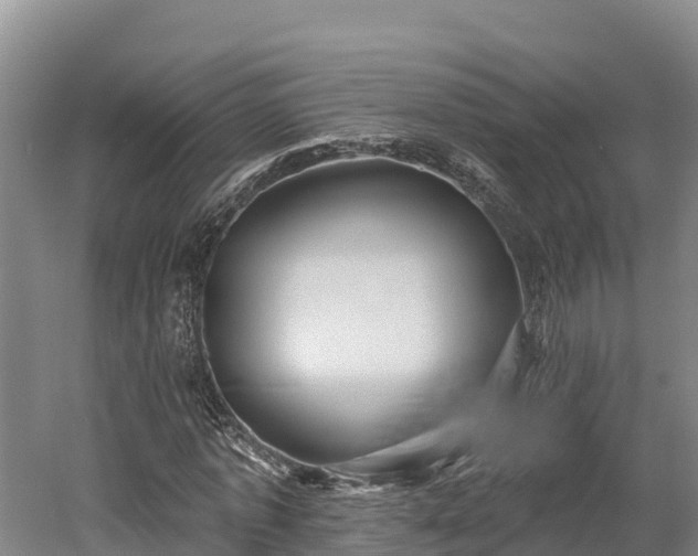 X0000052960773200507151735