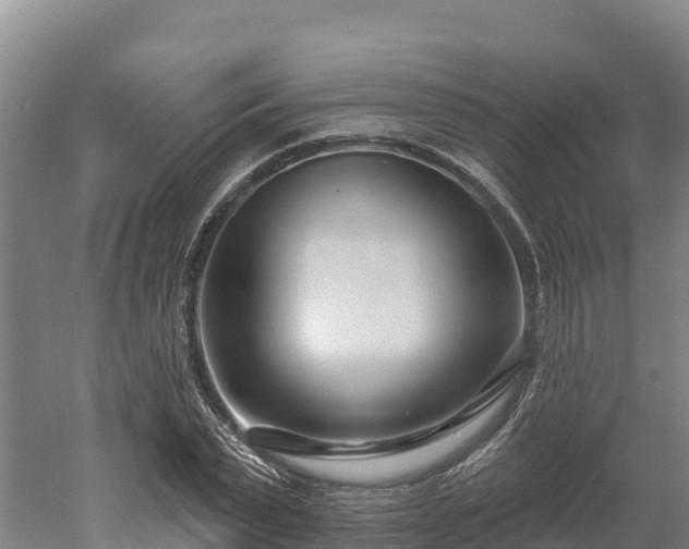 X0000052960783200507151734