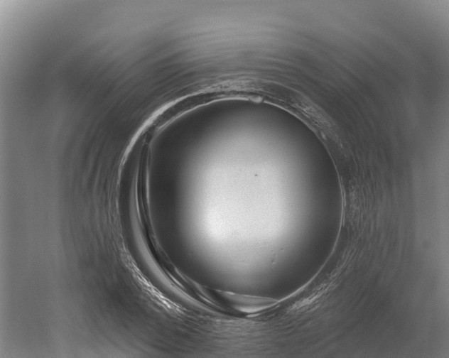 X0000052960784200507151734