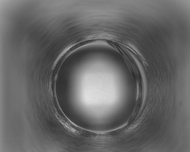 X0000052960788200507151734