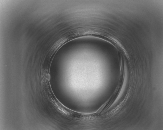 X0000052960793200507151734