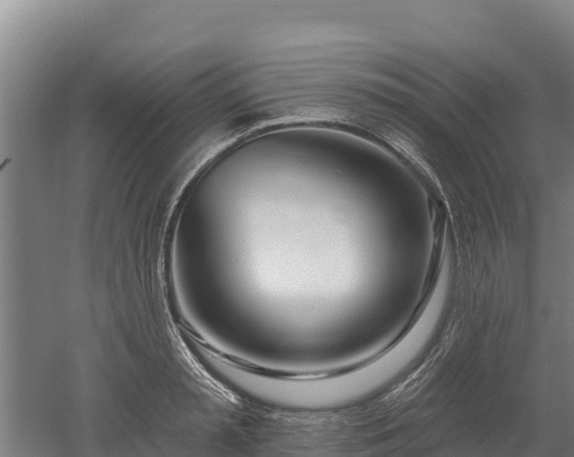 X0000052960797200507151734