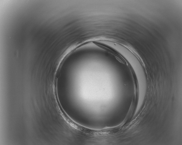 X0000052960813200507151734