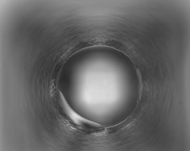 X0000052960818200507151733