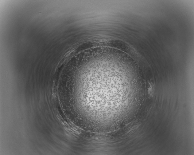 X0000052960819200507151733