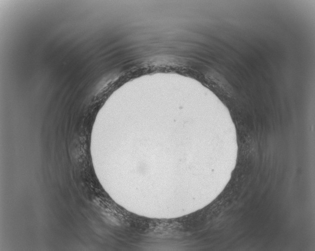 X0000052960824200507151733