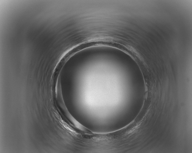 X0000052960830200507151733