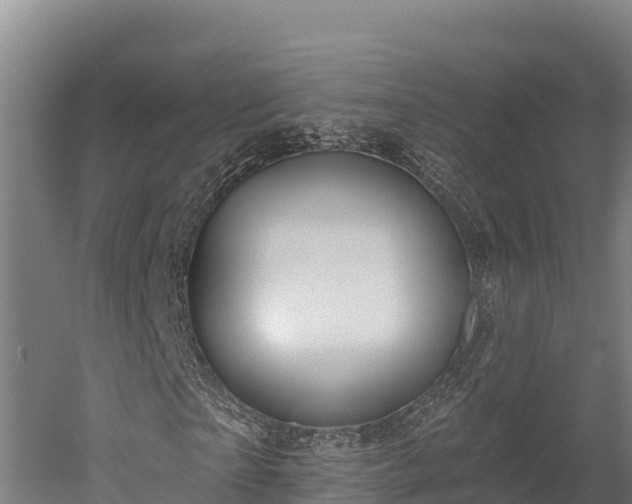 X0000052960865200507151733