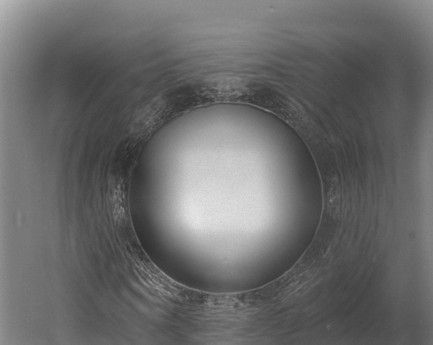 X0000052960866200507151733