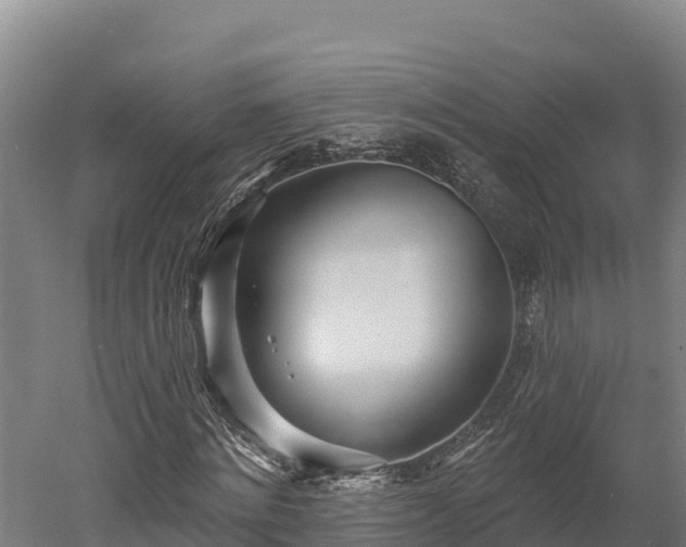 X0000052960868200507151733