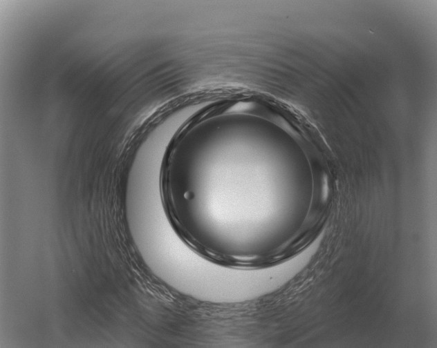 X0000052960871200507151733