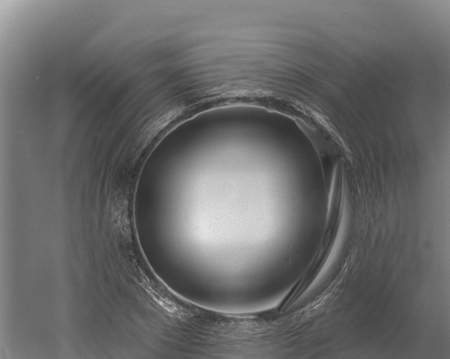 X0000052960881200507151733