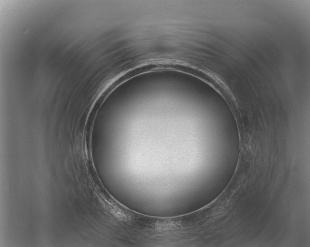X0000052960887200507151733