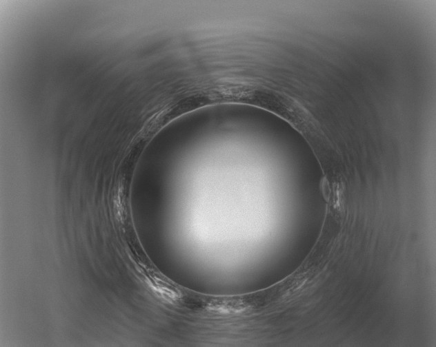 X0000052960915200507151731