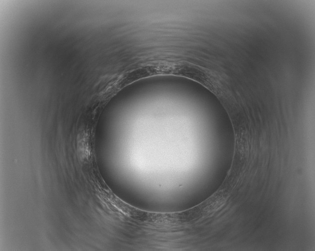 X0000052960962200507151731